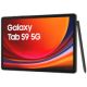 Galaxy Tab S9 5G (SM-X716B)